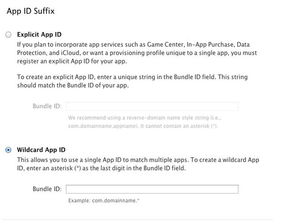 iOS軟件開(kāi)發(fā) 如何調(diào)整電腦環(huán)境以適配真機(jī)測(cè)試及計(jì)算機(jī)軟件開(kāi)發(fā)與維修
